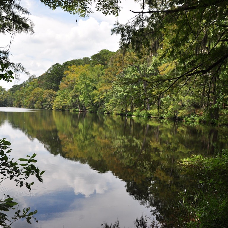National Forests | Texas Time Travel