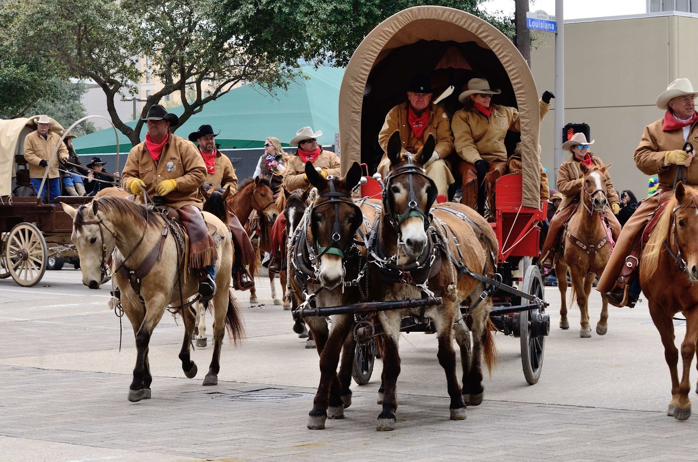 Saddle Up! Bulls, Broncs, and Texas' Oldest Rodeos | Texas Time Travel