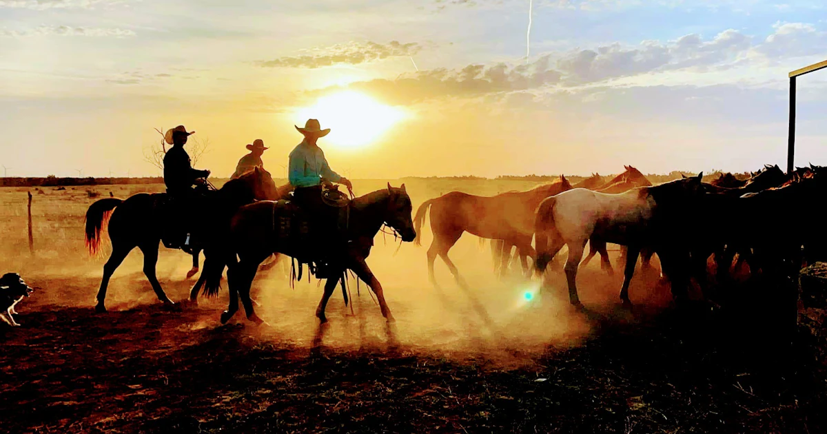 Circle R Ranch Texas Rodeo Circle Bar Ranch | Texas Time Travel
