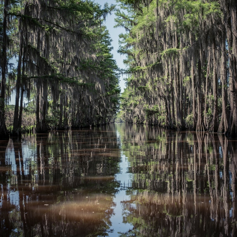 National Forests | Texas Time Travel