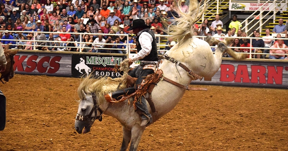 Saddle Up! Bulls, Broncs, and Texas' Oldest Rodeos | Texas Time Travel